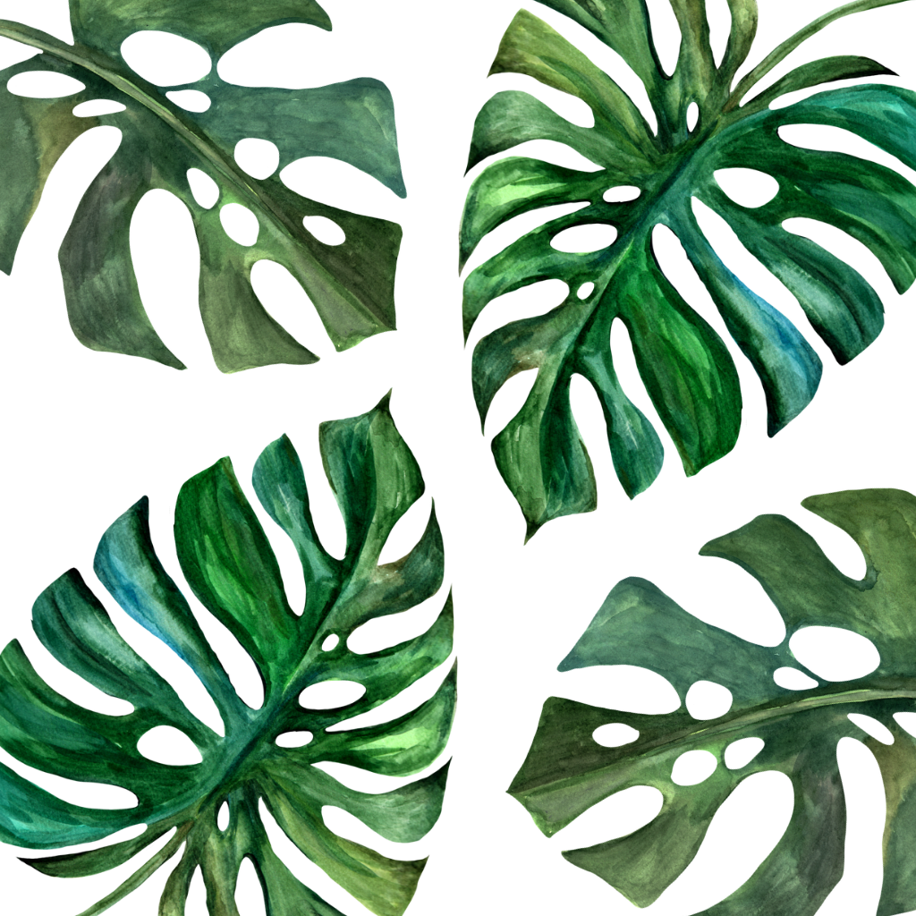 Big green Leaves frame