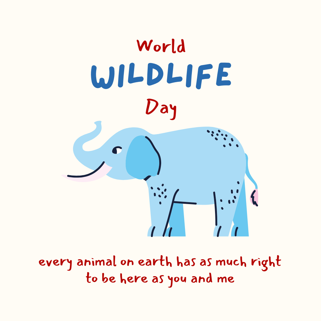 Elephant Photo for home decore