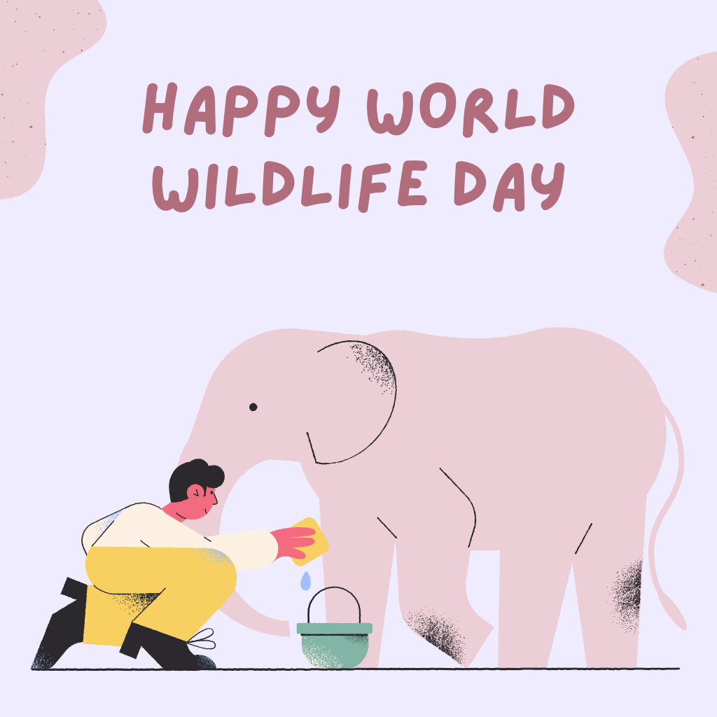 Best pink Elephant Home decore Image